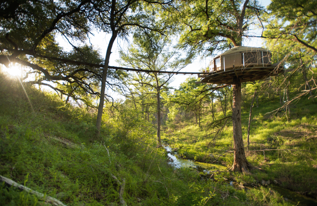 Cypress Valley Canopy
