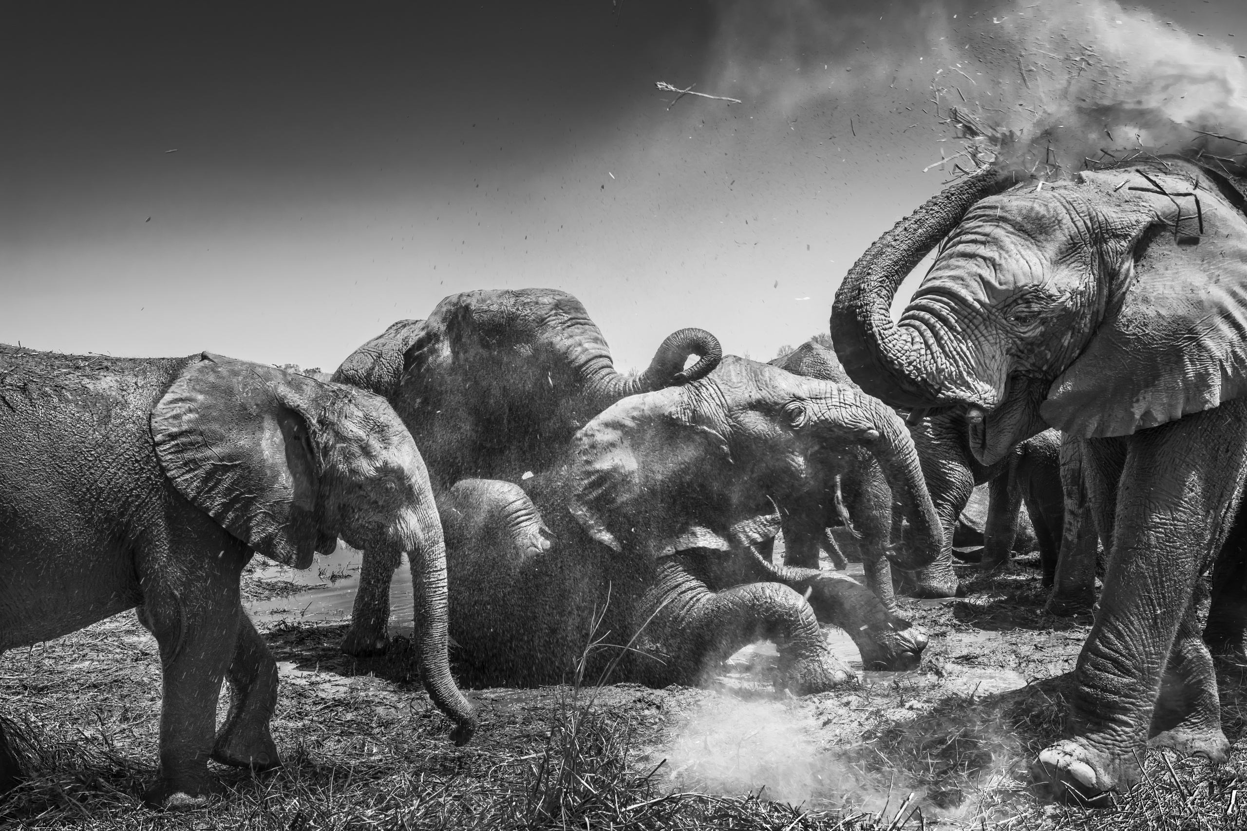 Elephant Havens, Botswana