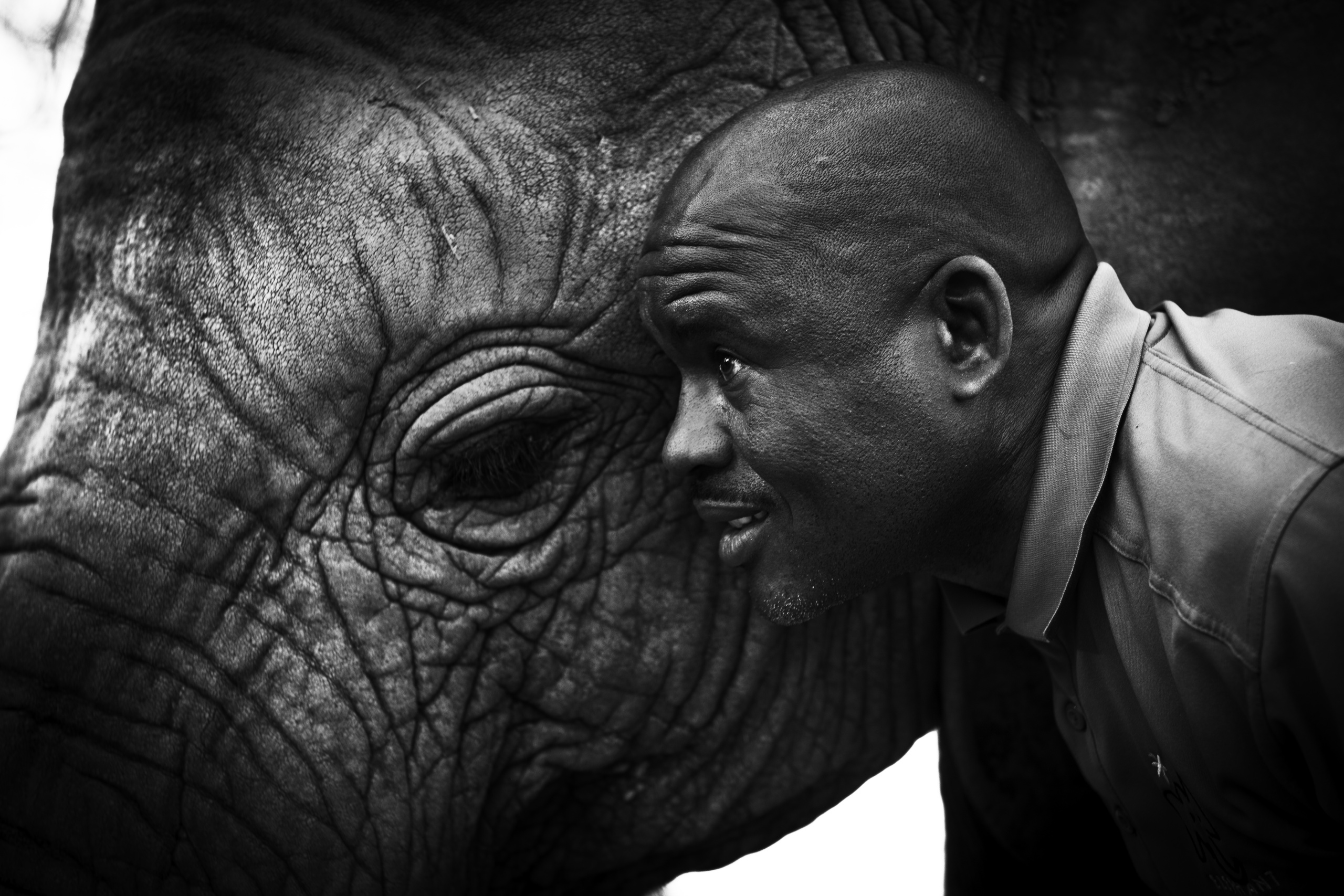Elephant Havens, Botswana