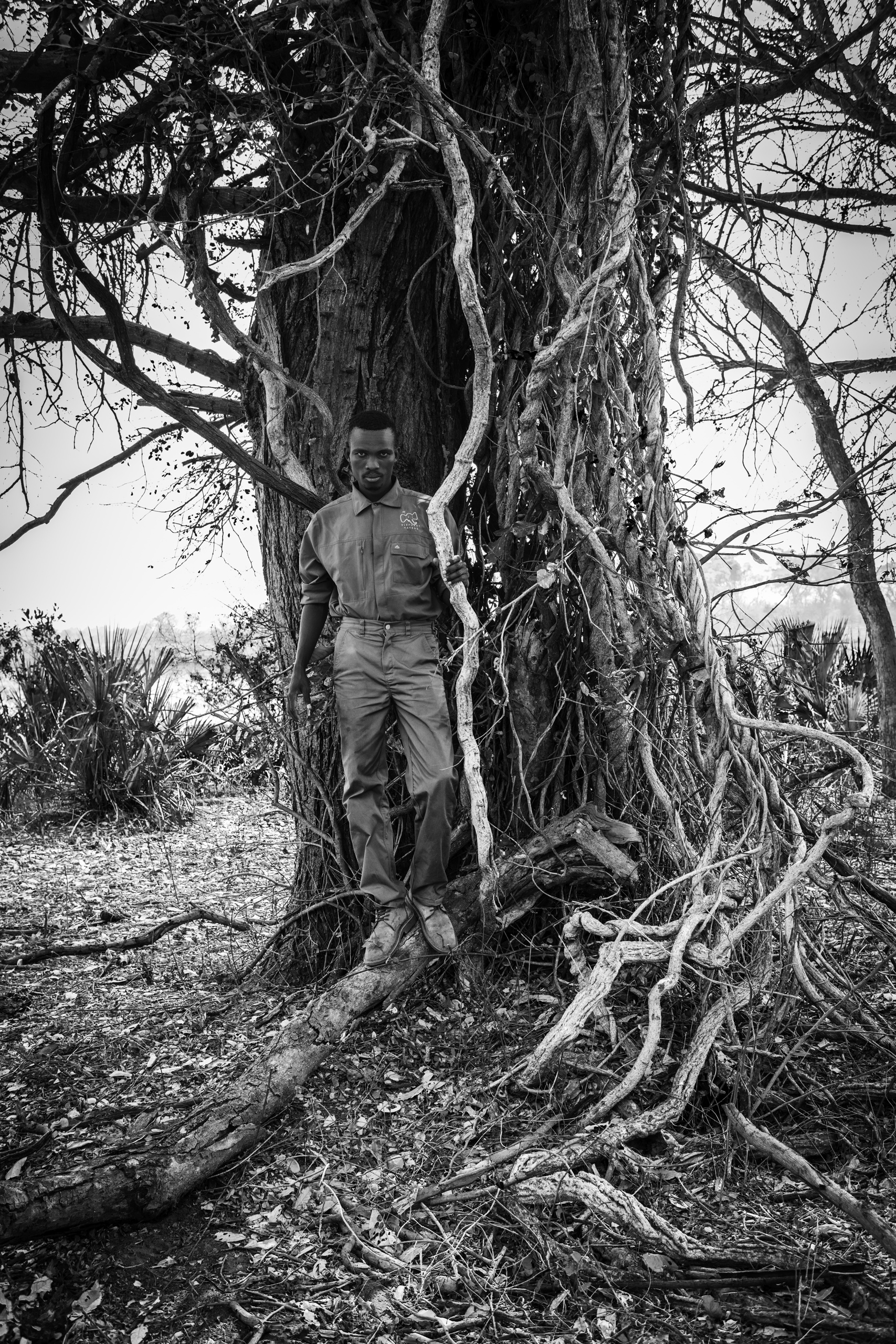 Elephant Havens, Botswana