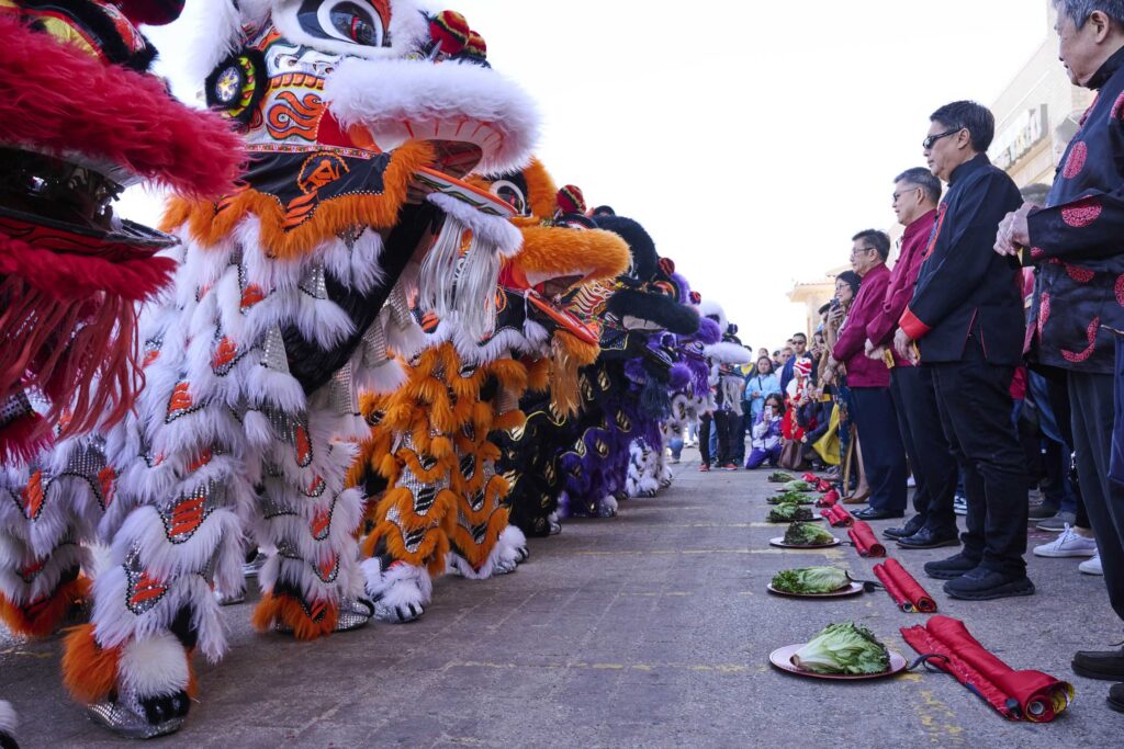 Lion dancers line up before the ceremonial offerings.
