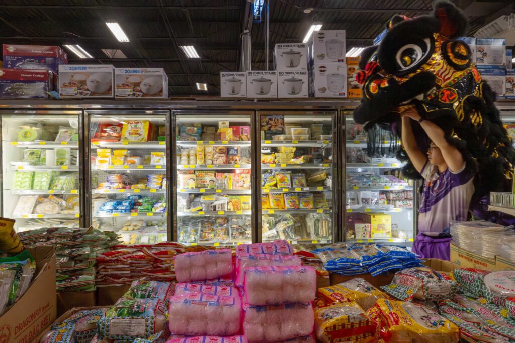 A lion moves through the grocery store.