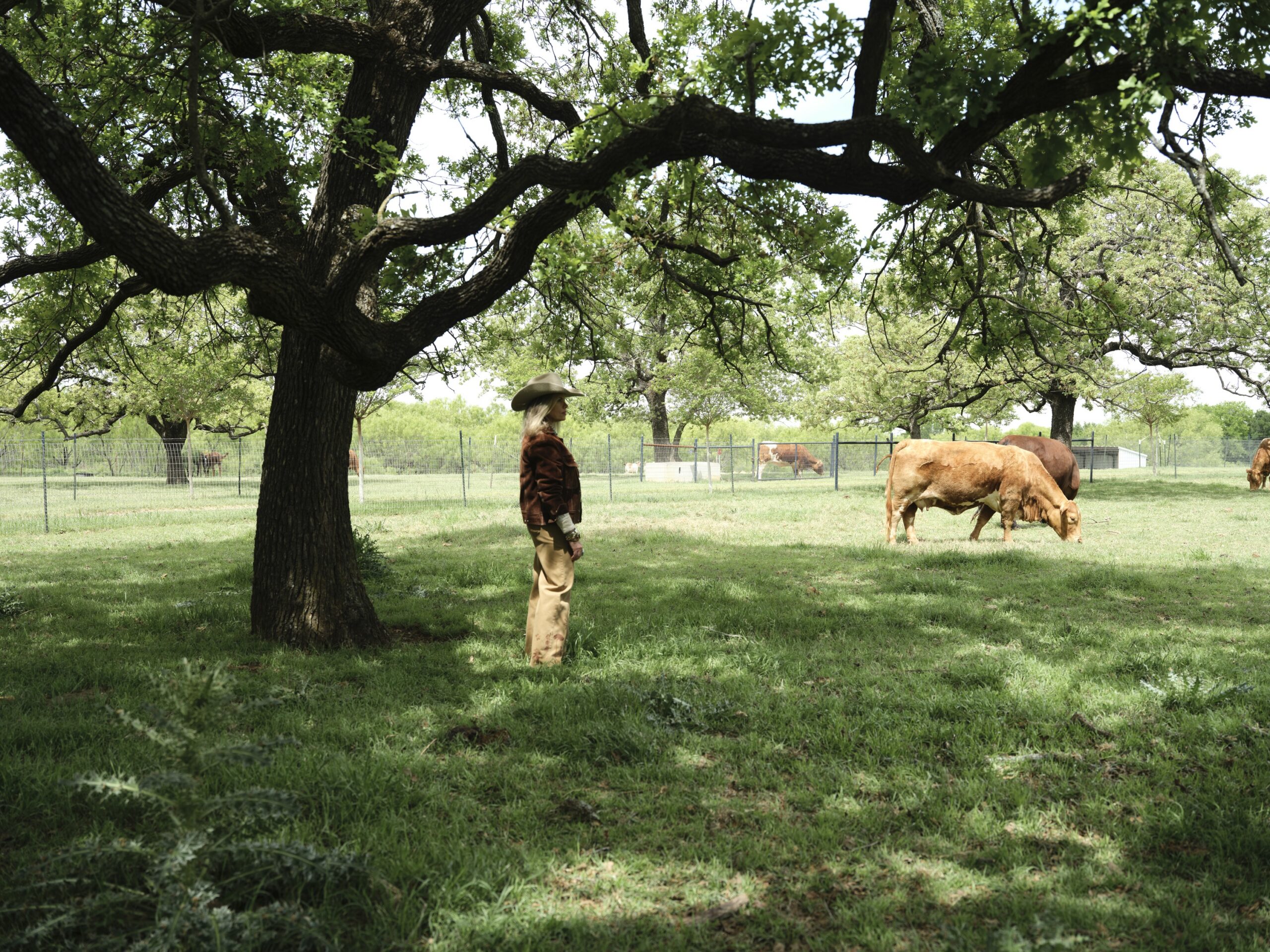Denise McGaha under an oak tree with cattle in a pasture
